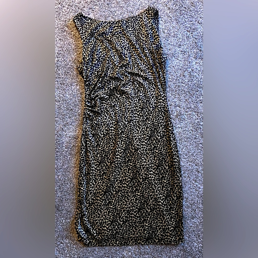 Donna Ricco leopard print velvet mini dress